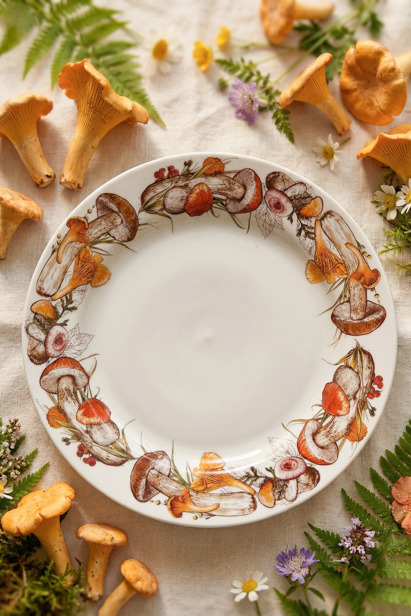 Набор 6 предм. Тарелка 240 мм мелкая Гладкий край Грибы бортовые