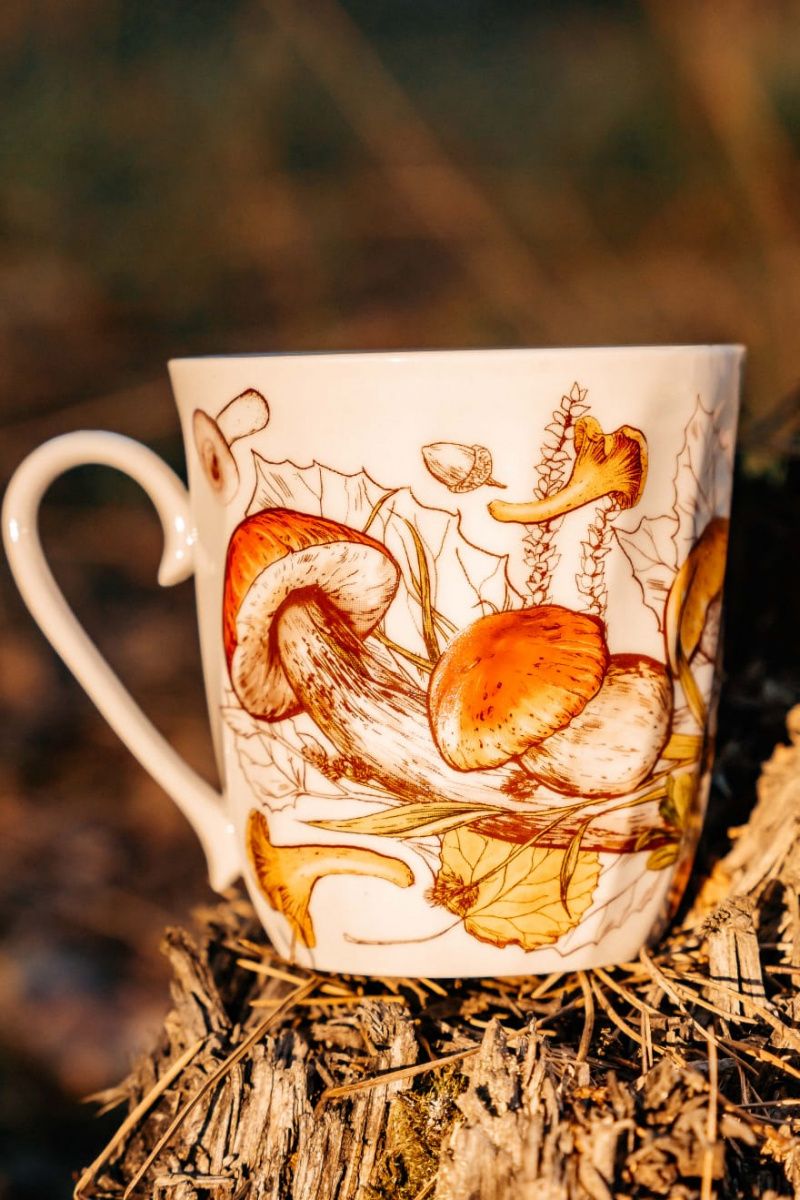 Кружка 350 мл Витая Грибы