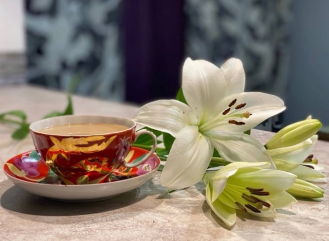 Чашка чайная с блюдцем 275 мл Белый лебедь Золотой олень